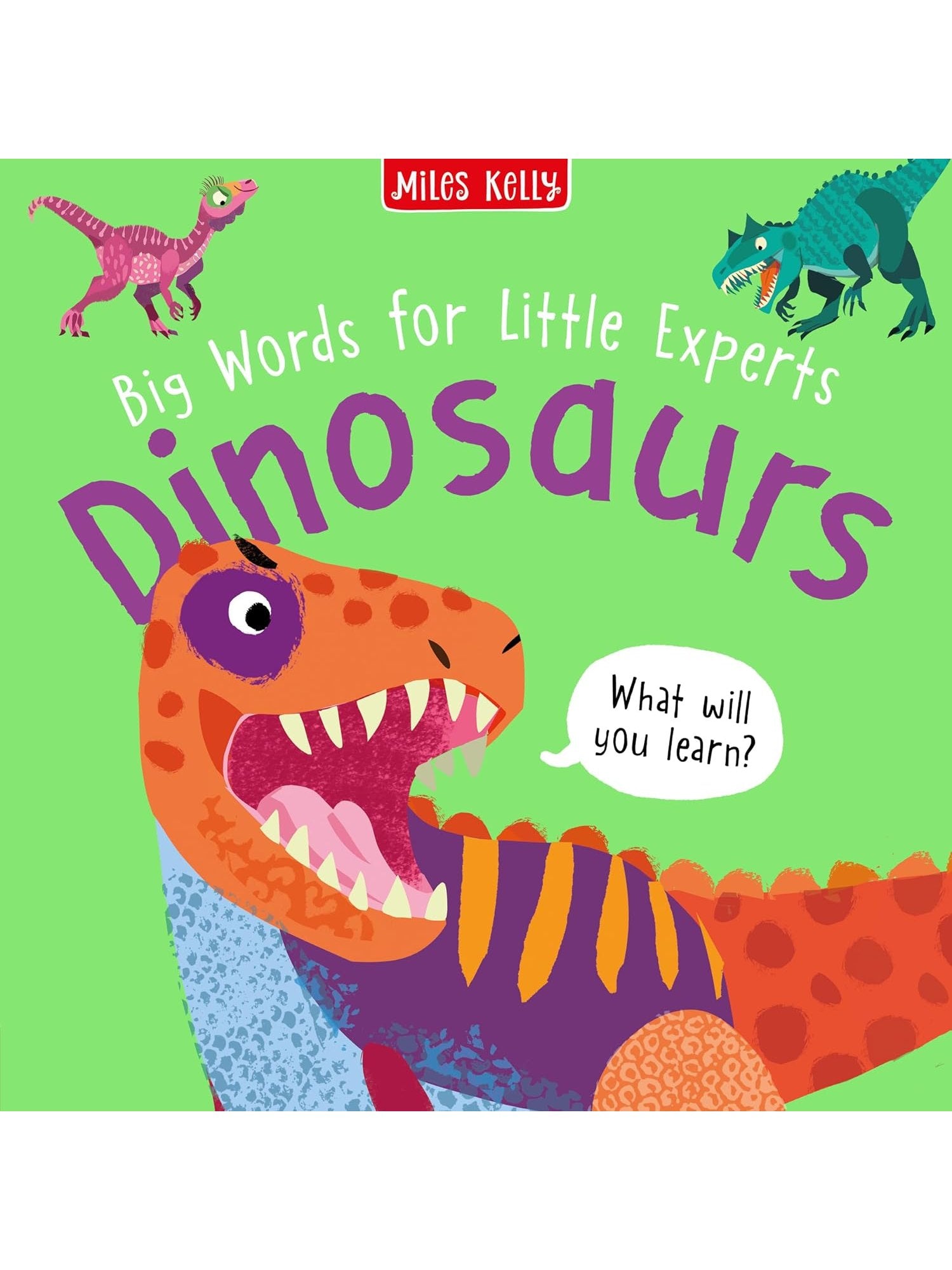 Big Words for Little Experts 'Dinosaurs' - Miles Kelly (Paperback)