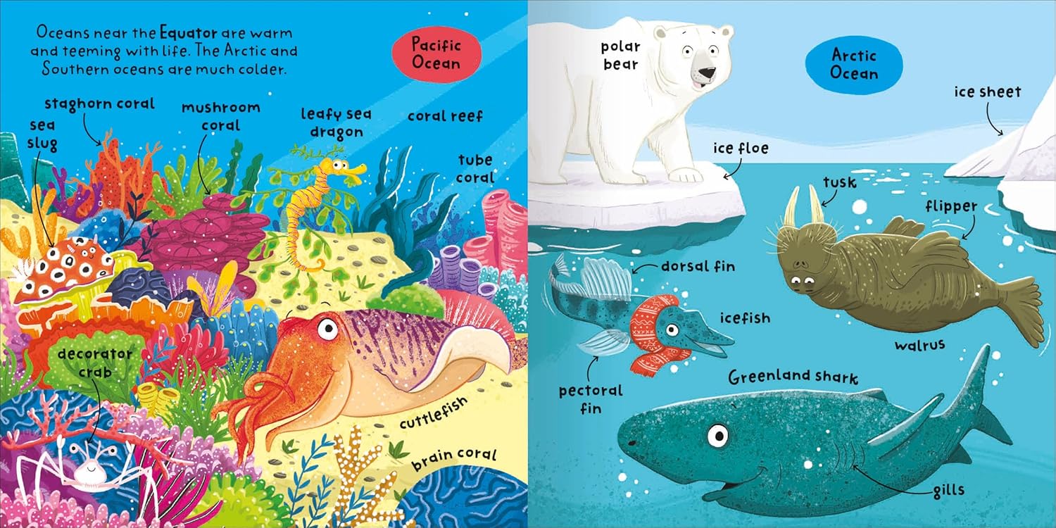Big Words for Little Experts 'Oceans' - Miles Kelly (Paperback)