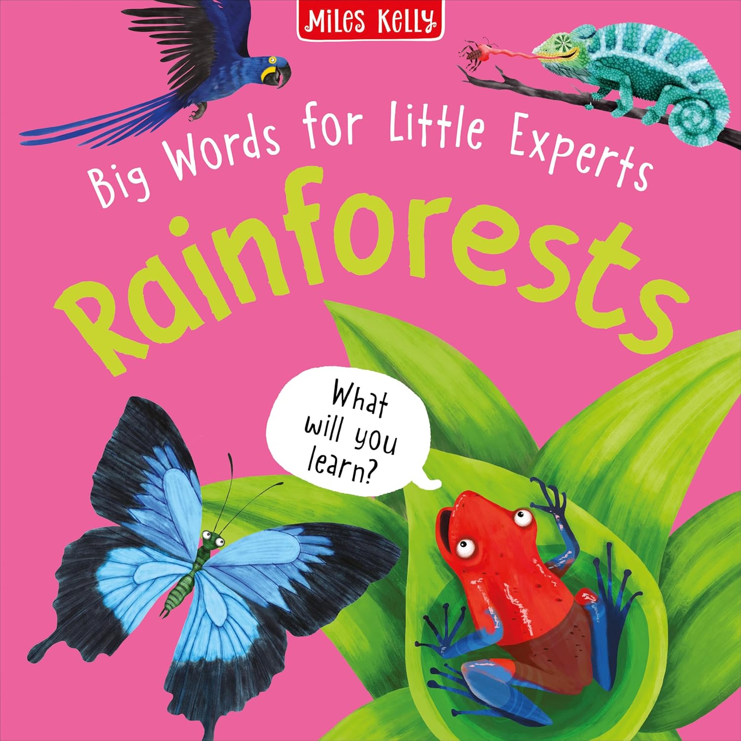 Big Words for Little Experts 'Rainforest' - Miles Kelly (Paperback)